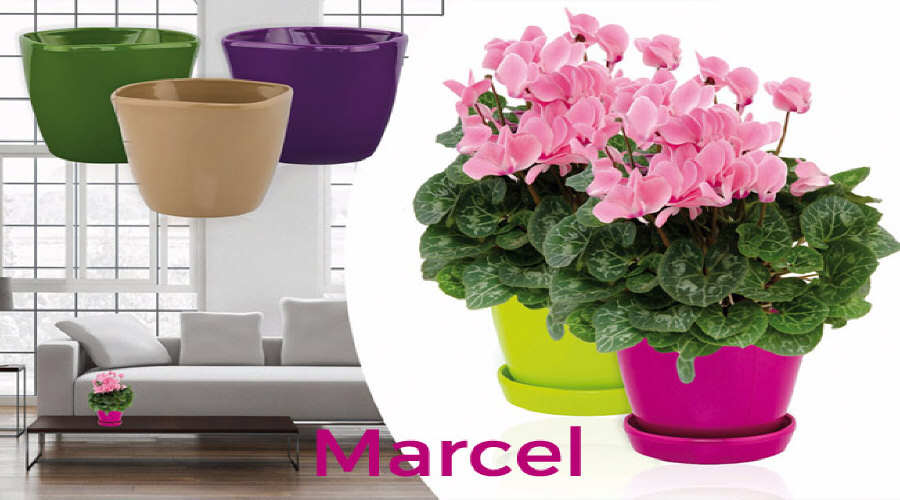 kvetináče, boxy, stojany, obaly, výrobca, plastové výrobky, Poľsko 01